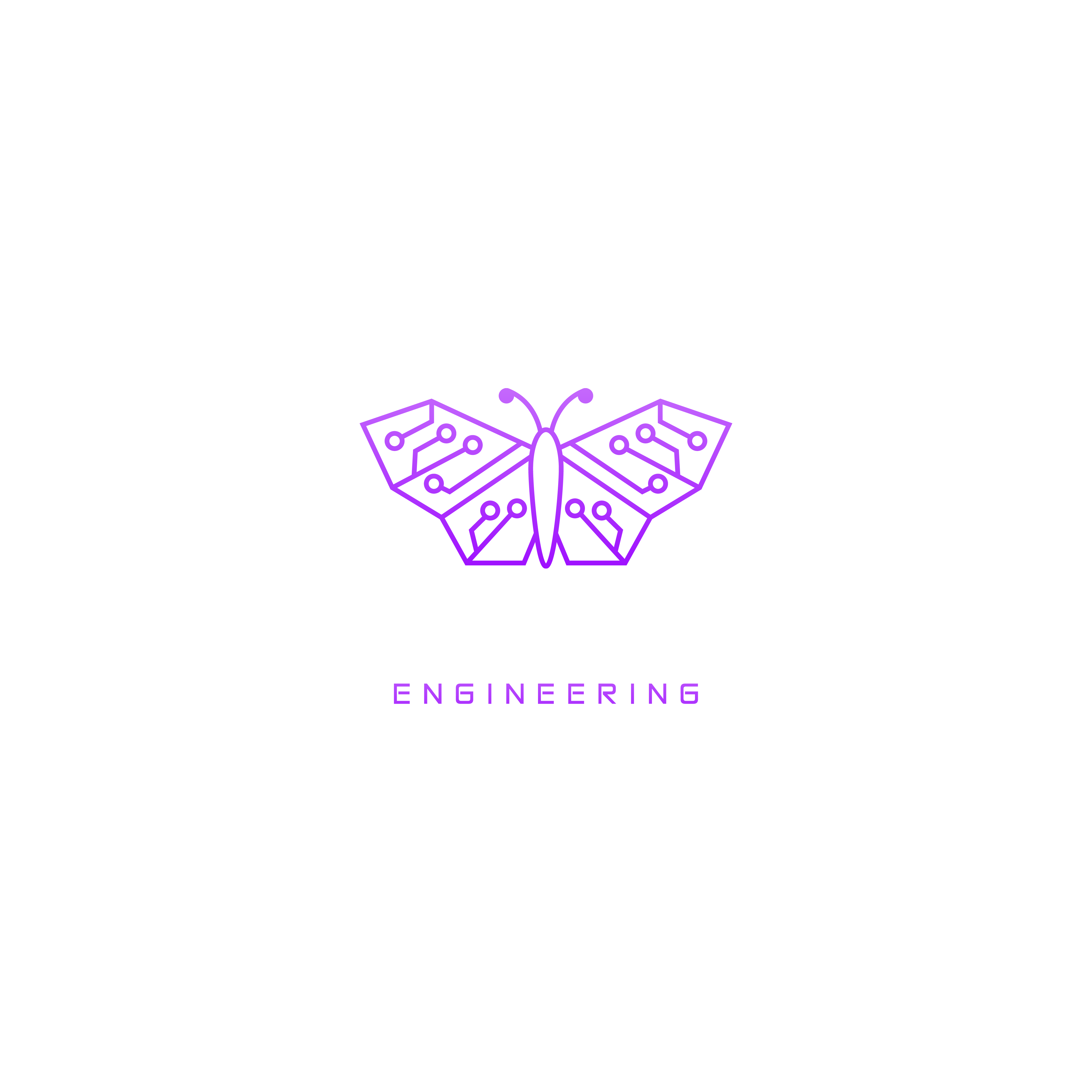 Papillon Engineering